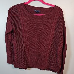 American Eagle Outfitters Maroon Crew Neck Sweater